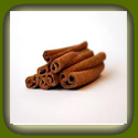 CINNAMON STICKS